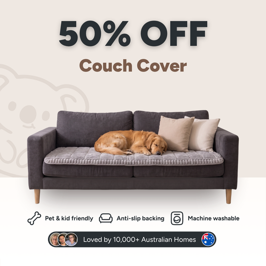 Couch Koala™ - Cloud